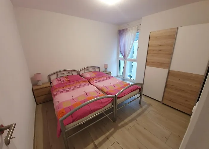 The Blackbird * Sion