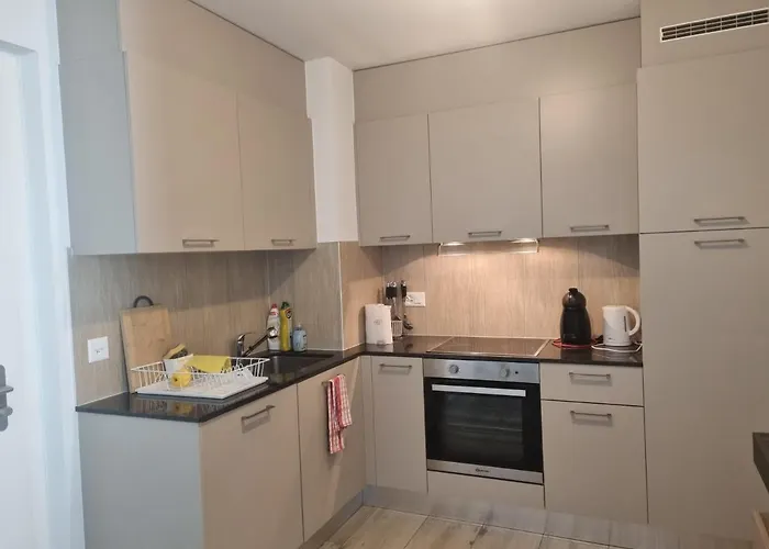 The Blackbird Appartement Sion